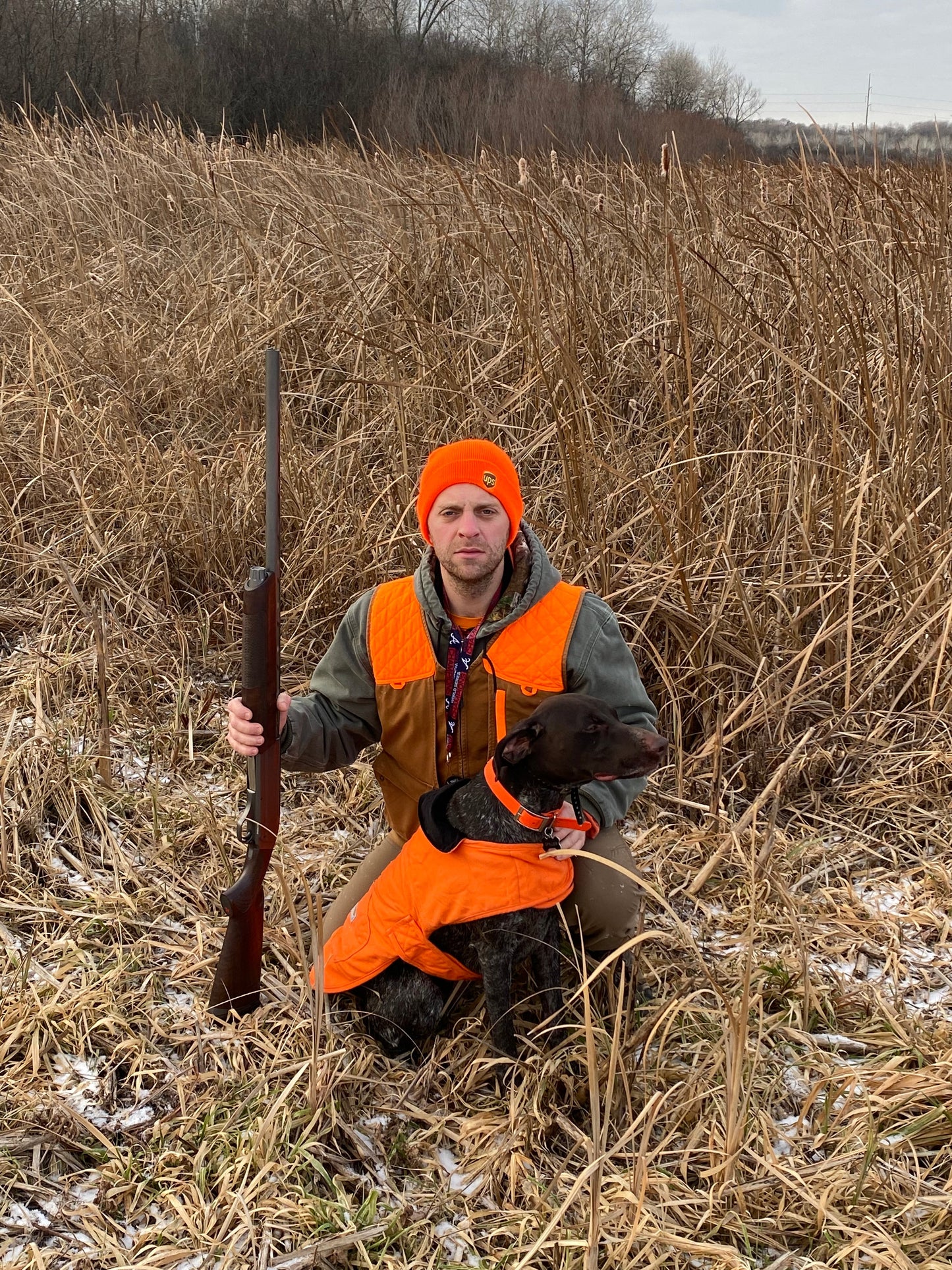 Upland Bird Dog Guide Service: Pheasant